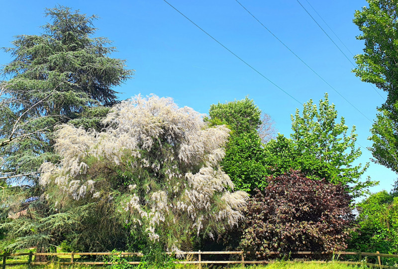 Proponiamo in vendita una splendida villa indipendente situata nella zona più verde e tranquilla ...