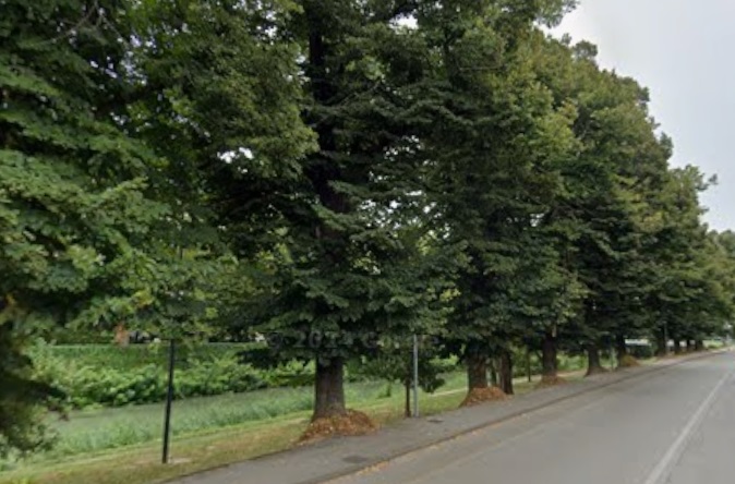 ASTA IMMOBILIARE – SOLO PER PRIMA CASA

Asta : Giovedì 02 Aprile 2026  
 Offerta minima prezzo ba...