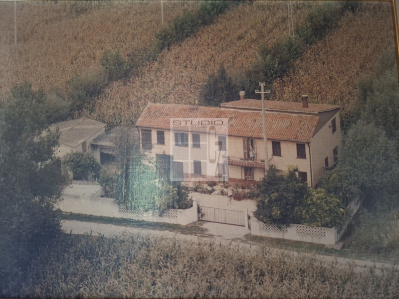 Nel  centro di Piombino Dese, proponiamo in vendita una casa singola dalle generose dimensioni (c...