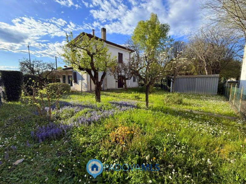 Immobile in esclusiva al Gruppo Padova MLS

Albignasego, in località Carpanedo, proponiamo una ca...