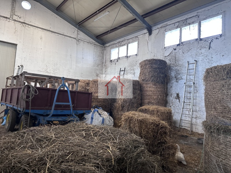 Rif.: PCL 016 Per informazioni Paolo 3488545745
Spresiano
L'Agenzia Immobiliare Luxor è entusiast...