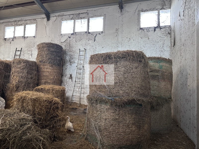 Rif.: PCL 016 Per informazioni Paolo 3488545745
Spresiano
L'Agenzia Immobiliare Luxor è entusiast...