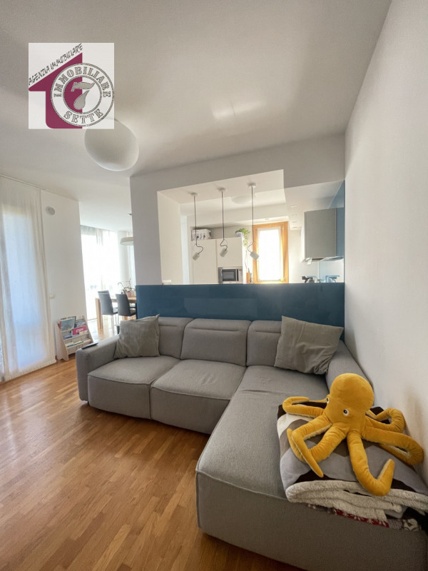 Vendesi PIAZZOLA SUL BRENTA CENTRO APPARTAMENTO AL PIANO PRIMO, all'interno del complesso Parco D...