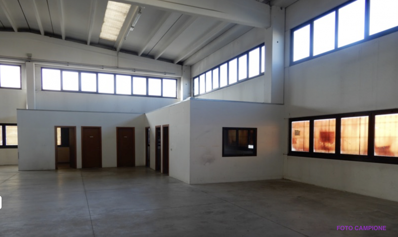 immagine annuncio 3 di 11