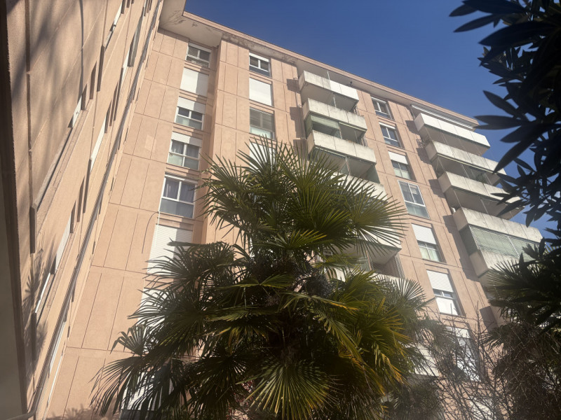 Palestro: Ottima Rendita per Investitori

Situato in una delle zone più servite e ricercate, prop...