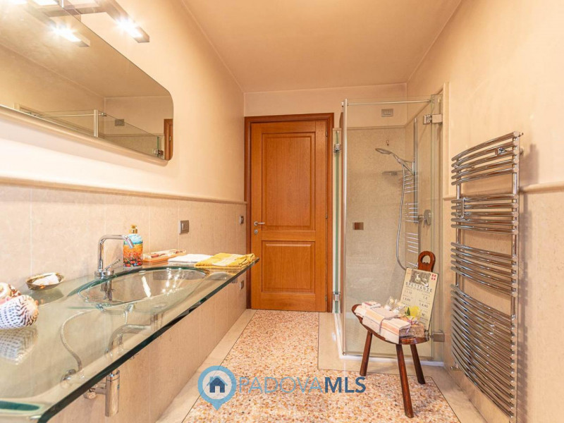 VILLE SINGOLE IMMERSE IN 10.000 MQ DI GIARDINO PRIVATO A BOSCO DI RUBANO (PD)

Immobile in esclus...