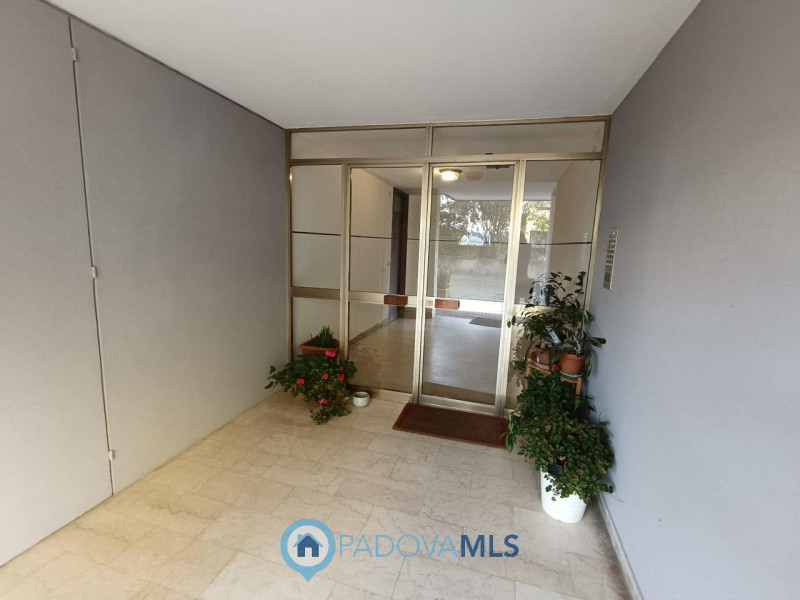 Padova vicinanze via venezia 3 camere con ascensore

Immobile in esclusiva al Gruppo Padova MLS

...