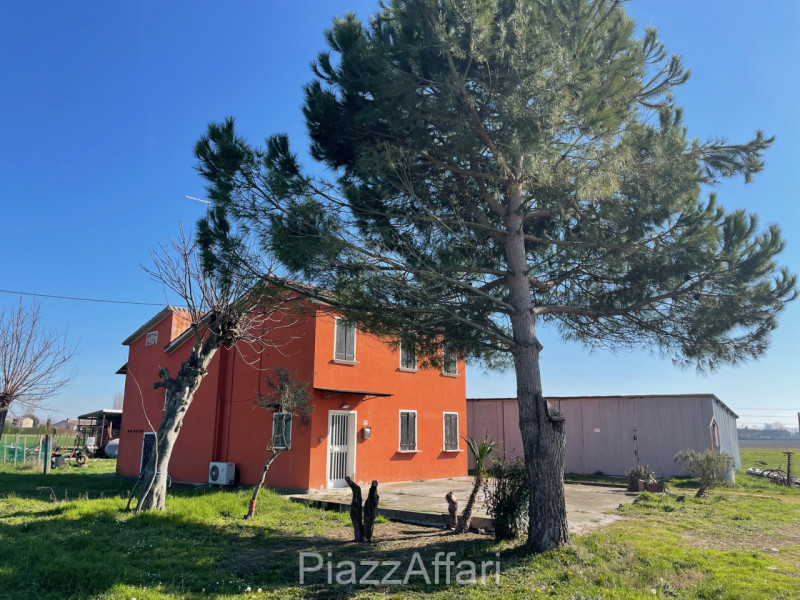 Codevigo - frazione Rosara vendesi terreno agricolo di circa 14 campi padovani con accesso da str...