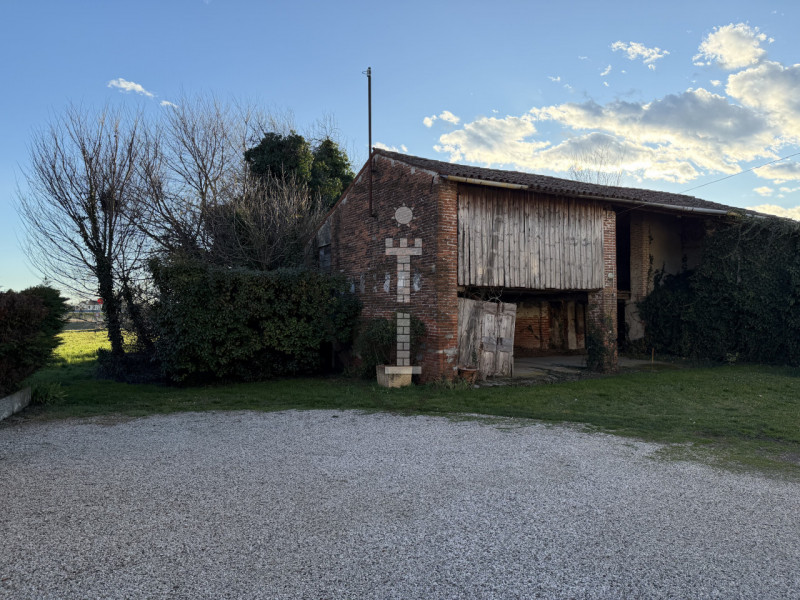 Stai cercando un terreno agricolo facilmente accessibile e in posizione soleggiata?
A Mason Vicen...