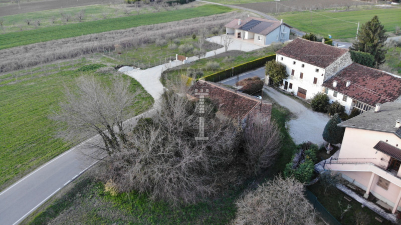 Stai cercando un terreno agricolo facilmente accessibile e in posizione soleggiata?
A Mason Vicen...