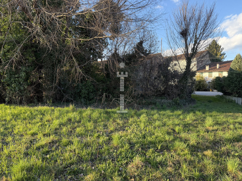 Stai cercando un terreno agricolo facilmente accessibile e in posizione soleggiata?
A Mason Vicen...