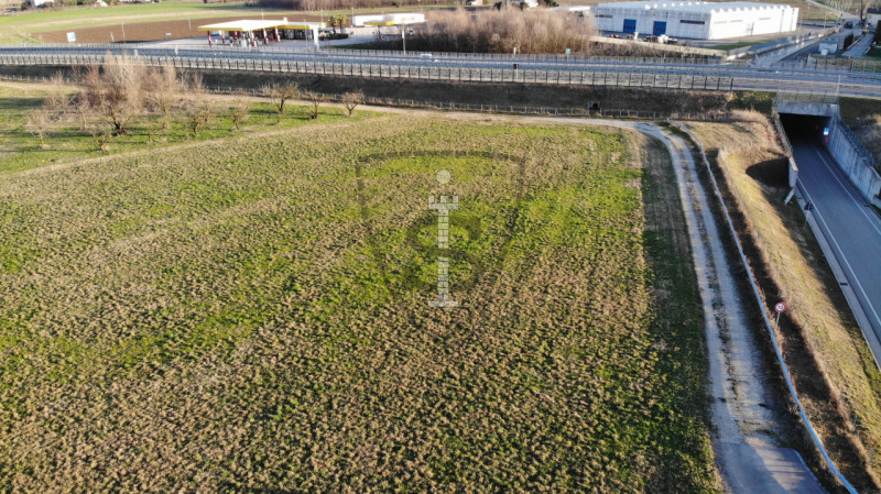 Stai cercando un terreno agricolo facilmente accessibile e in posizione soleggiata?
A Mason Vicen...