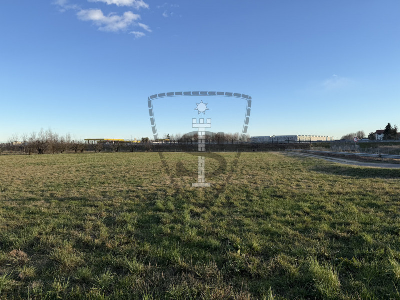 Stai cercando un terreno agricolo facilmente accessibile e in posizione soleggiata?
A Mason Vicen...