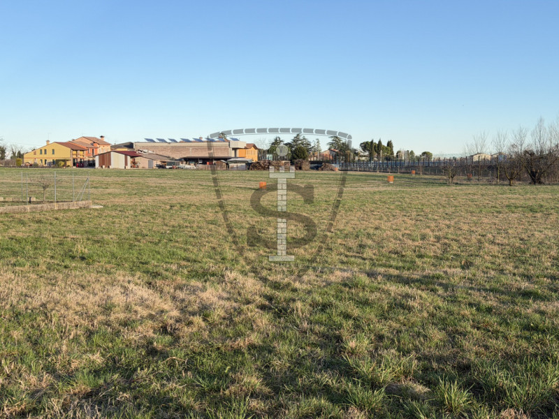 Stai cercando un terreno agricolo facilmente accessibile e in posizione soleggiata?
A Mason Vicen...