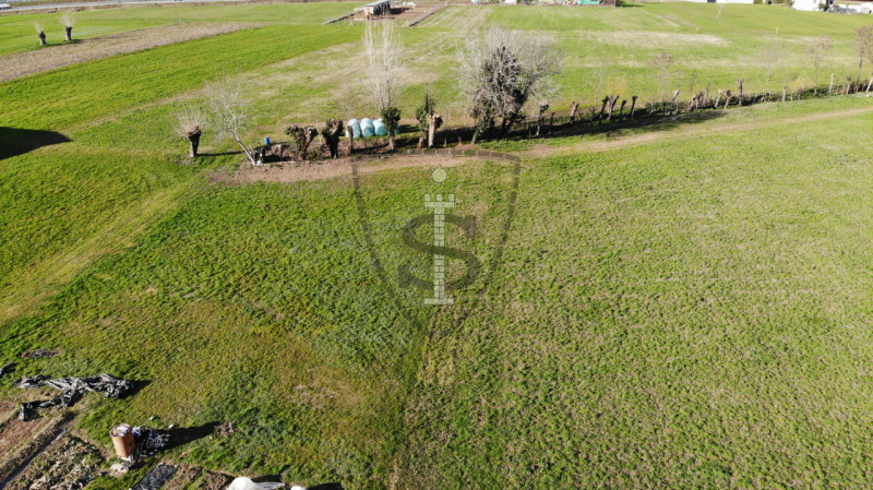 Stai cercando un terreno agricolo facilmente accessibile e in posizione soleggiata?
A Nove, propo...