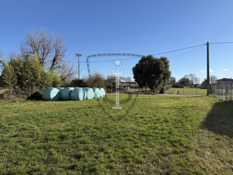 Stai cercando un terreno agricolo facilmente accessibile e in posizione soleggiata?
A Nove, propo...