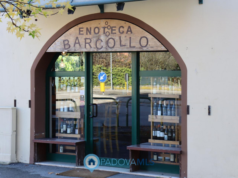 NEGOZIO COMMERCIALE CON ANNESSO MAGAZZINO AL PIANO INTERRATO A CASALSERUGO (PD)

Immobile in escl...