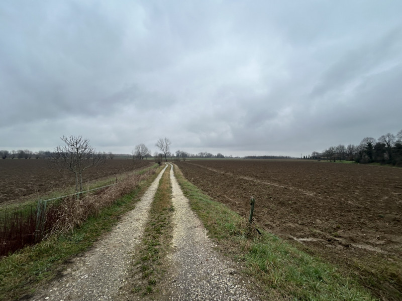 Nel cuore della campagna veneta, a pochi minuti dal centro di Veggiano, proponiamo in vendita un ...