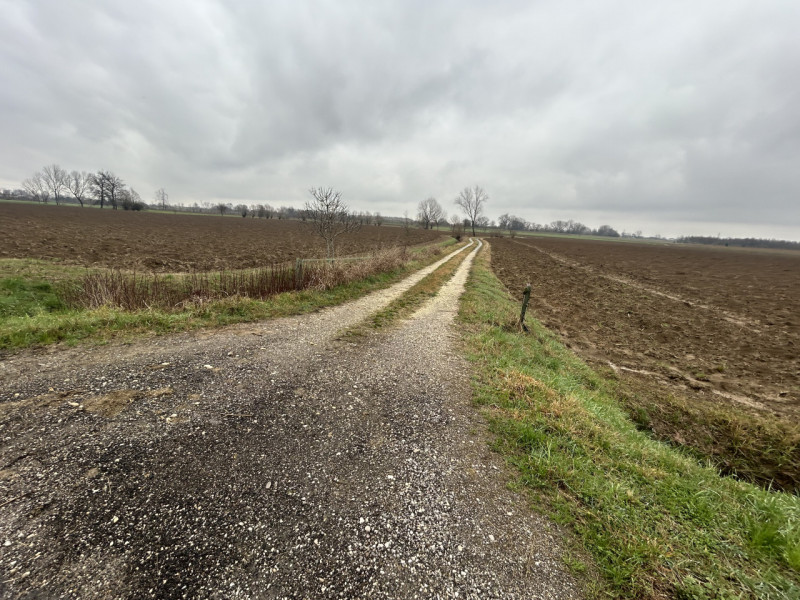 Nel cuore della campagna veneta, a pochi minuti dal centro di Veggiano, proponiamo in vendita un ...