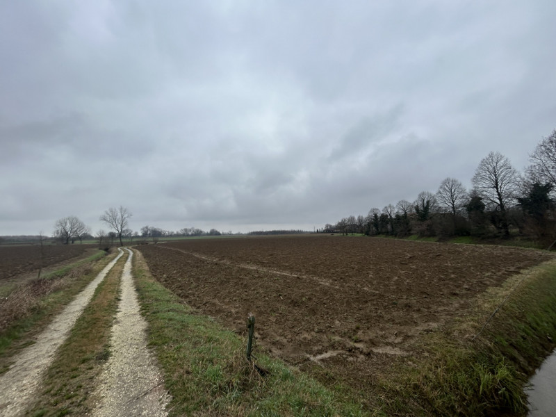 Nel cuore della campagna veneta, a pochi minuti dal centro di Veggiano, proponiamo in vendita un ...