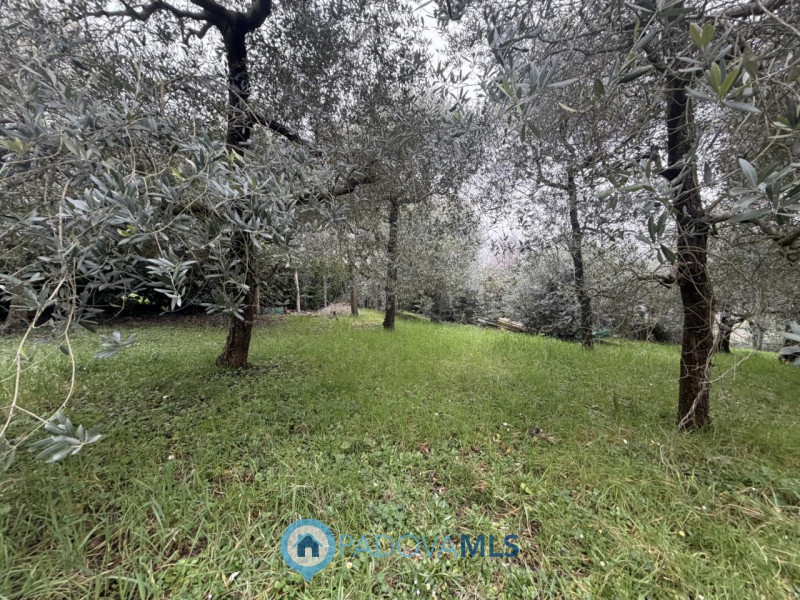 Bifamiliare da ristrutturare in Vendita a Galzignano Terme

Immobile in esclusiva al Gruppo Padov...