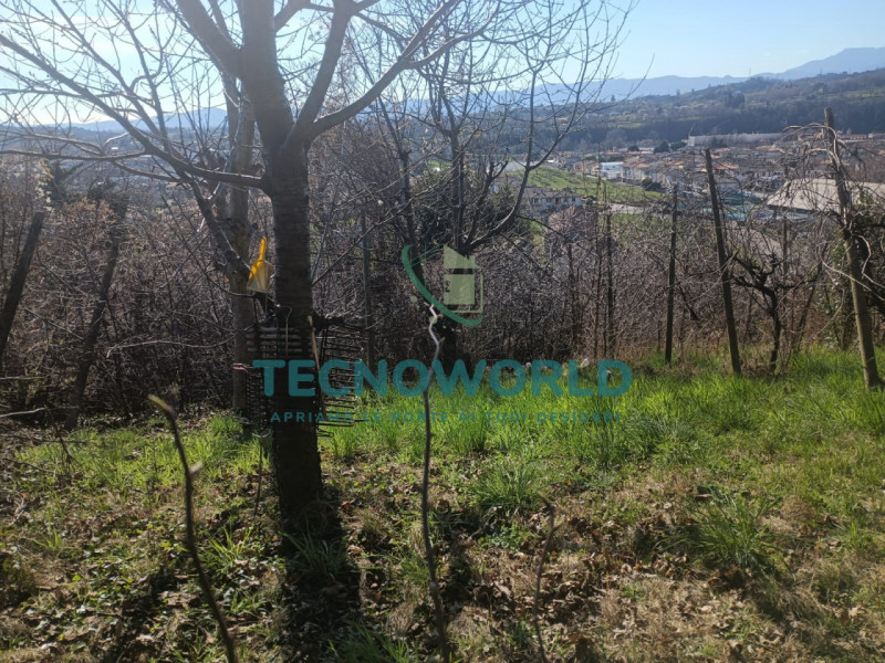 Scopri un'opportunità imperdibile nel cuore delle splendide Ville Palladiane! Proponiamo in vendi...