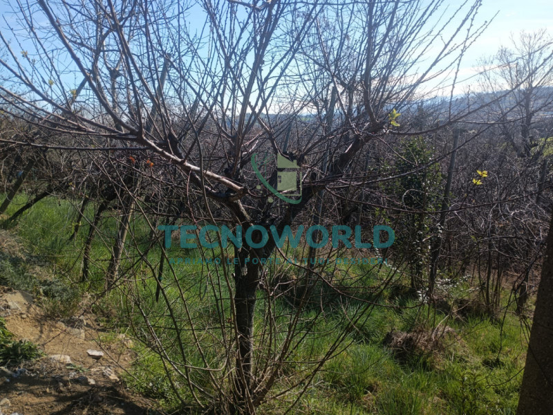 Scopri un'opportunità imperdibile nel cuore delle splendide Ville Palladiane! Proponiamo in vendi...