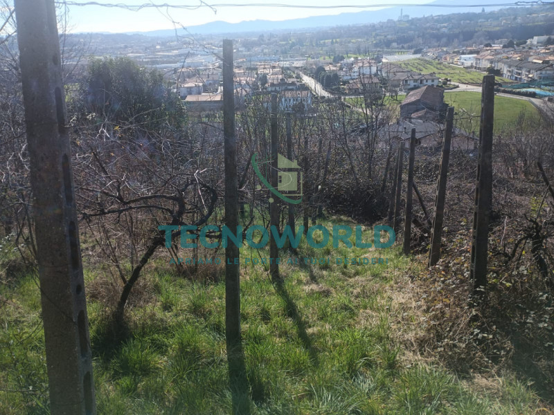 Scopri un'opportunità imperdibile nel cuore delle splendide Ville Palladiane! Proponiamo in vendi...