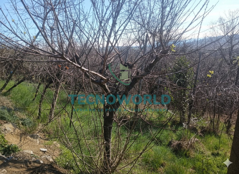 Scopri un'opportunità imperdibile nel cuore delle splendide Ville Palladiane! Proponiamo in vendi...