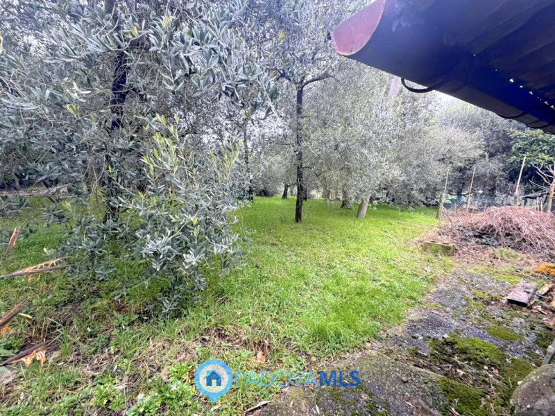 Immobile in esclusiva al Gruppo Padova MLS

Scopri questa porzione di bifamiliare, da ristruttura...