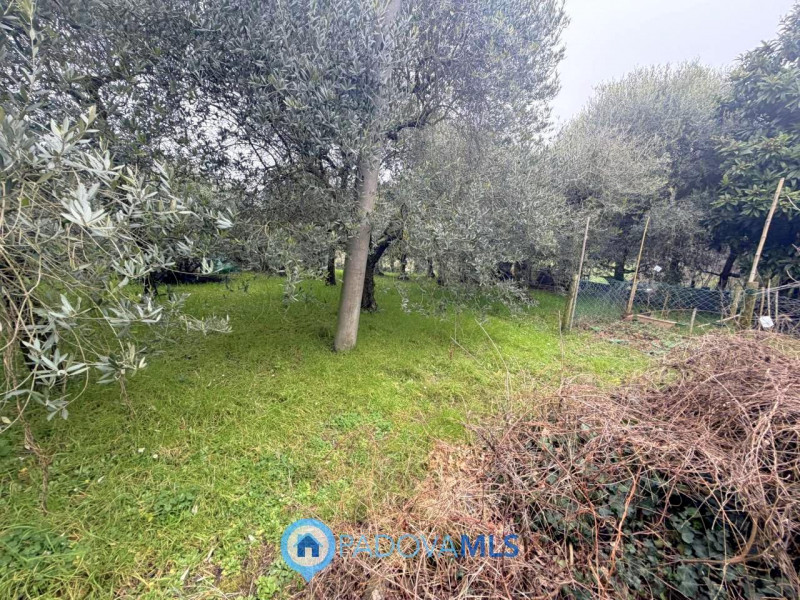 Immobile in esclusiva al Gruppo Padova MLS

Scopri questa porzione di bifamiliare, da ristruttura...