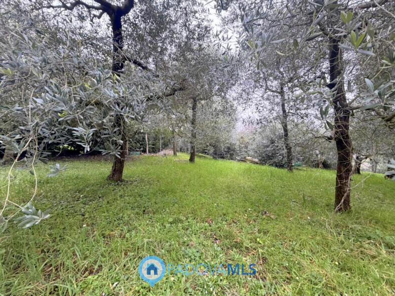 Immobile in esclusiva al Gruppo Padova MLS

Scopri questa porzione di bifamiliare, da ristruttura...