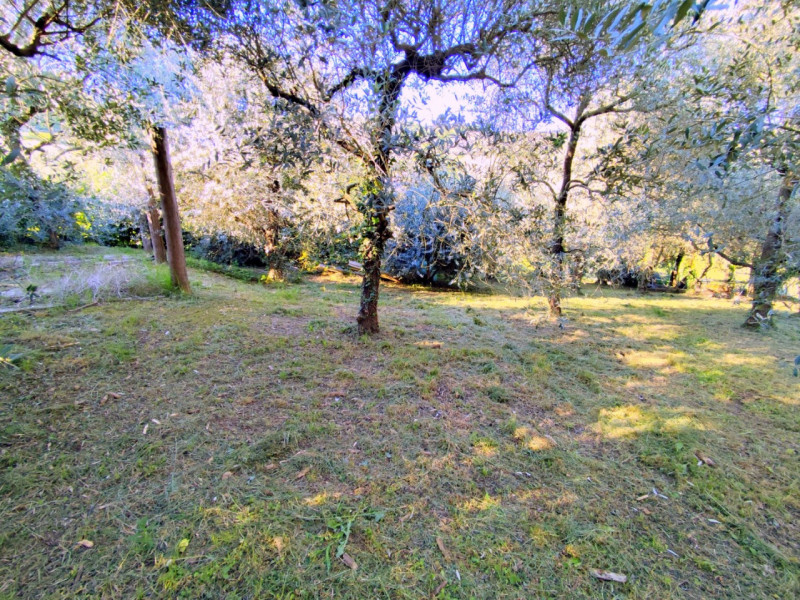 Immobile in esclusiva al Gruppo Padova MLS

Scopri questa porzione di bifamiliare, da ristruttura...