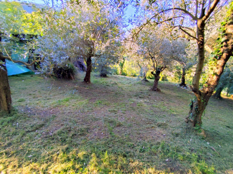 Immobile in esclusiva al Gruppo Padova MLS

Scopri questa porzione di bifamiliare, da ristruttura...