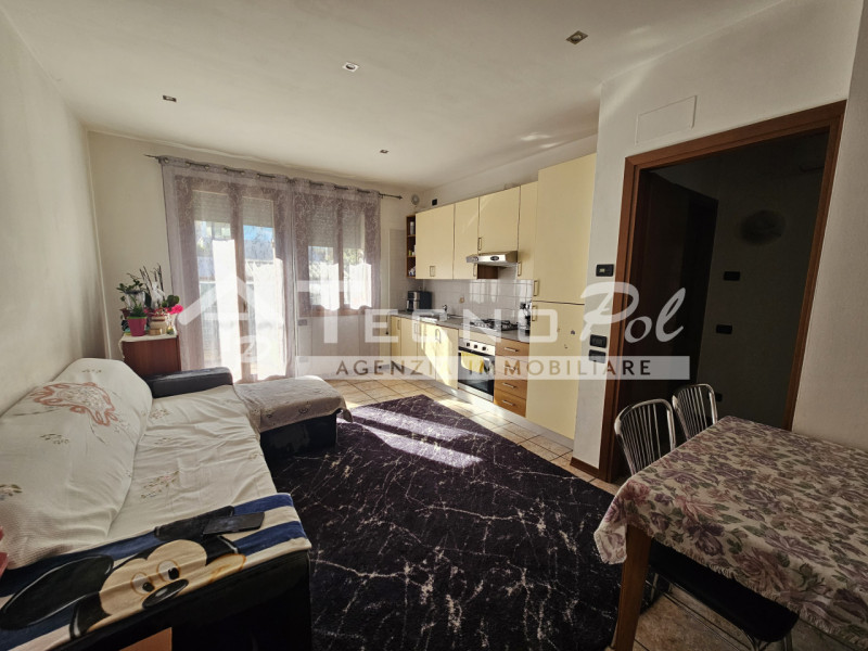 Rustega di Camposampiero - In centro paese con tutti i servizi ad una passeggiata proponiamo appa...