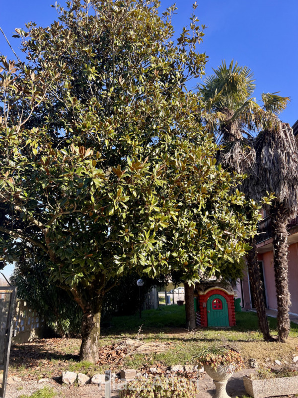 Abitazione singola di mq 250 con cortile di circa 1000 mq, disposta su 2 livelli (anche frazionab...