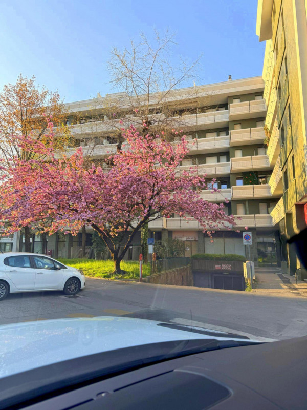 3 CAMERE DI LUSSO IN CLASSE "A2" ZONA STANGA €.370.000 - rif.MG007

Sei alla ricerca di un appart...