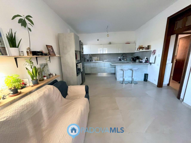 Immobile in esclusiva al Gruppo Padova MLS

Stai cercando una soluzione semi-indipendente, comple...