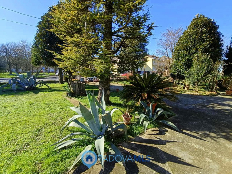 Immobile in esclusiva al Gruppo Padova MLS

Padova zona Crocefisso vicino a tutti i servizi princ...