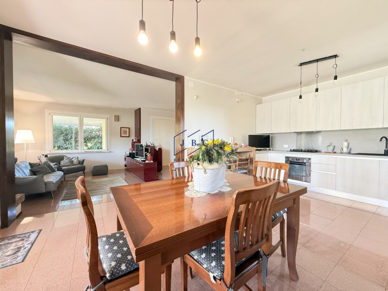 Chiarano - (Treviso)
Proponiamo in vendita a pochi minuti dal centro di Cessalto e di Chiarano, u...