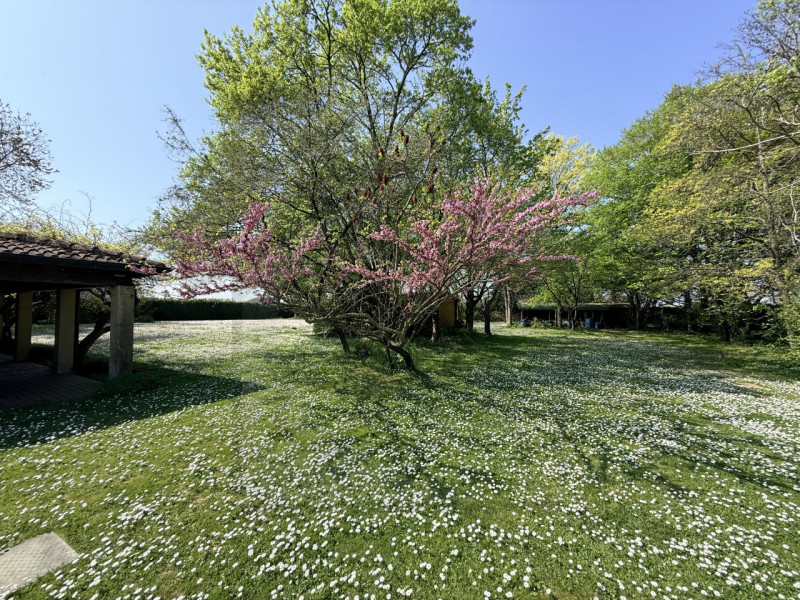 PADOVA - Scoprite questa magnifica villa veneta situata nel cuore della tranquilla zona di Salbor...