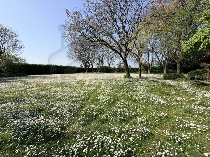 PADOVA - Scoprite questa magnifica villa veneta situata nel cuore della tranquilla zona di Salbor...