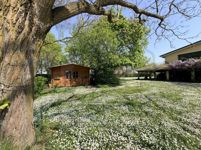 PADOVA - Scoprite questa magnifica villa veneta situata nel cuore della tranquilla zona di Salbor...