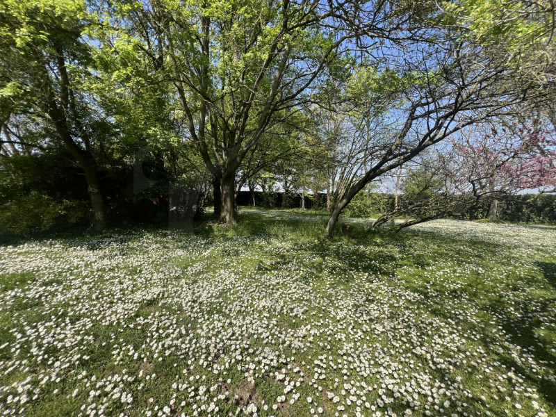 PADOVA - Scoprite questa magnifica villa veneta situata nel cuore della tranquilla zona di Salbor...