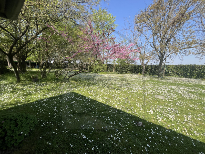 PADOVA - Scoprite questa magnifica villa veneta situata nel cuore della tranquilla zona di Salbor...