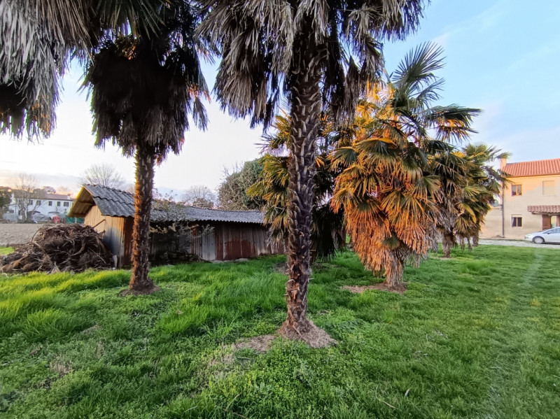 RIf. BOV175
In tranquilla zona di campagna nel comune di Bovolenta, lungo l’argine destro e immer...