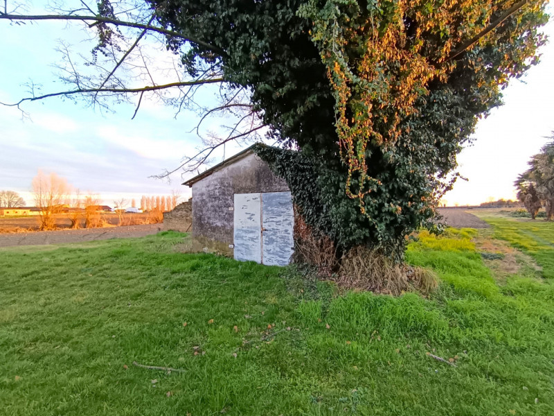 RIf. BOV175
In tranquilla zona di campagna nel comune di Bovolenta, lungo l’argine destro e immer...