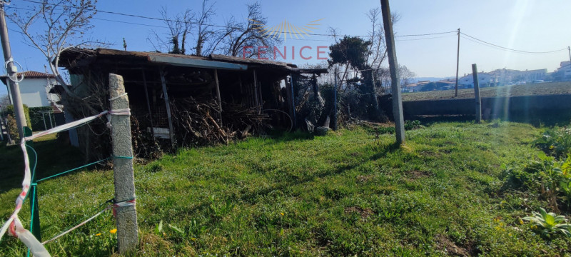 Immersa nella verde campagna veneta, a Nogarè di Crocetta del Montello, questa affascinante casa ...