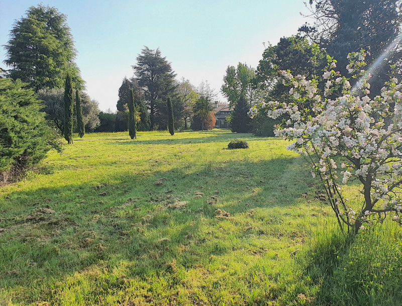 We offer for sale a splendid detached villa located in the greenest and most peaceful area of Fer...