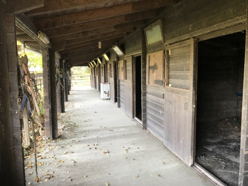 We offer for sale a splendid detached villa located in the greenest and most peaceful area of Fer...